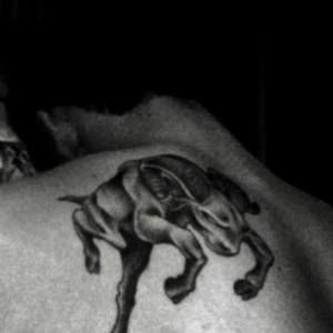 Meet your Posher, Dylan